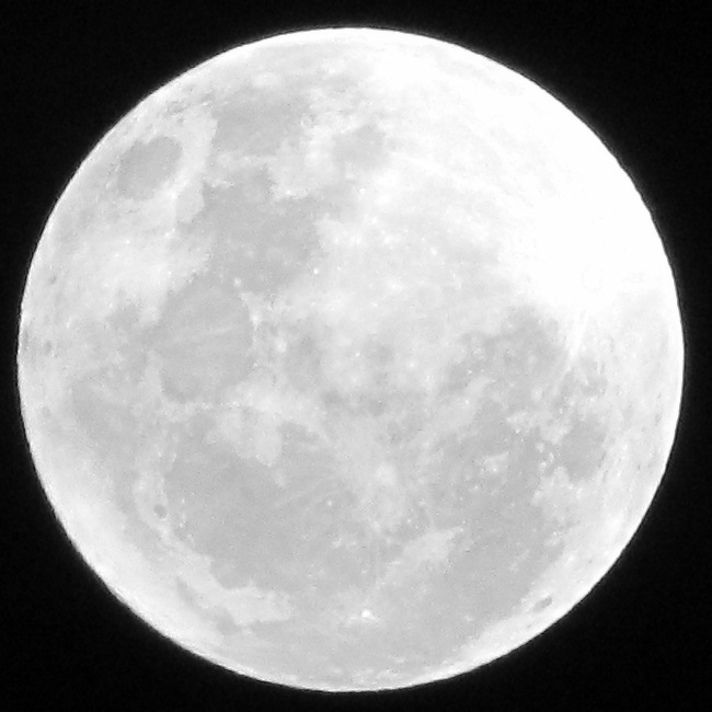 Full Moon photo IMG_2826