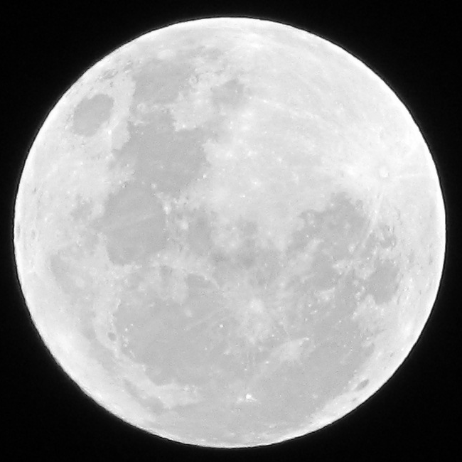 Full Moon photo IMG_2834