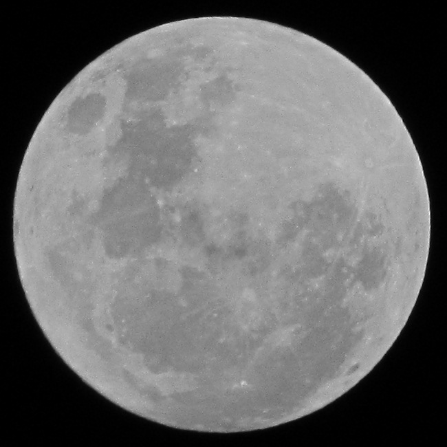 Full Moon photo IMG_2843